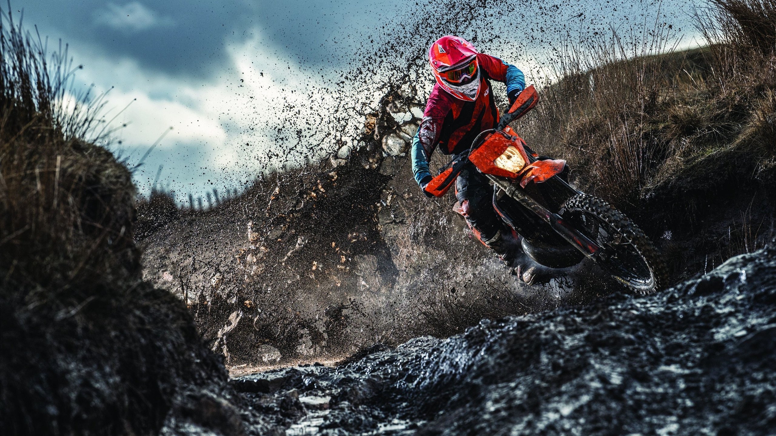 全国羽毛球锦标赛圆满落幕，新锐选手斩获双冠王