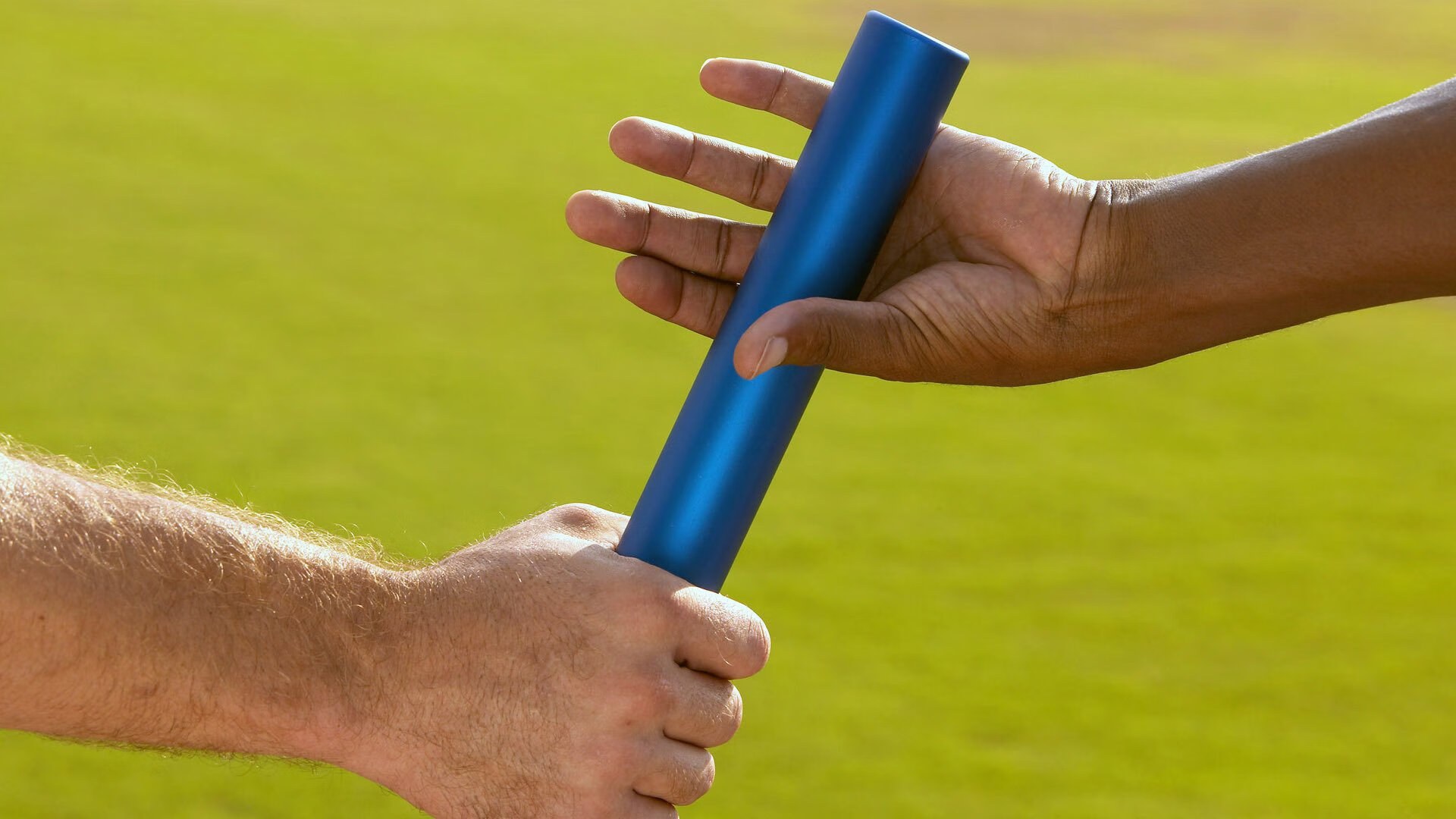 中国游泳队闪耀世锦赛,新星崛起老将再创辉煌