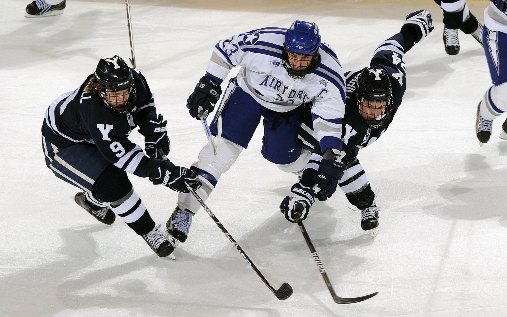 亚洲田径锦标赛落幕 中国军团斩获12金创历史最佳战绩